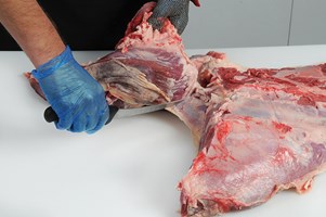 Clod Flat Muscle Steaks Meat Cut Spec Step 2